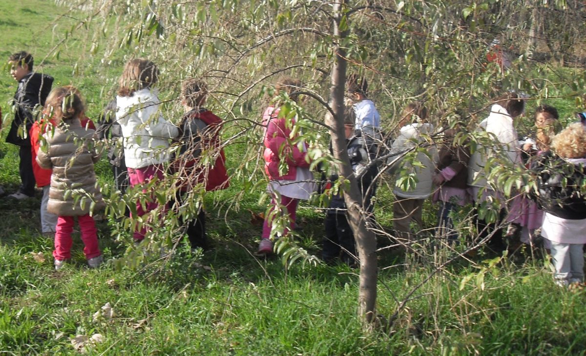 Un gruppo di bambini gioca all'aperto in un parco